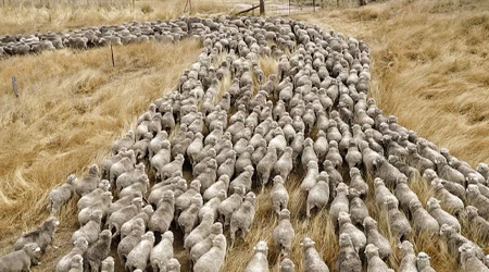 CINEMA SOCIAL GIRONELLA.jpg